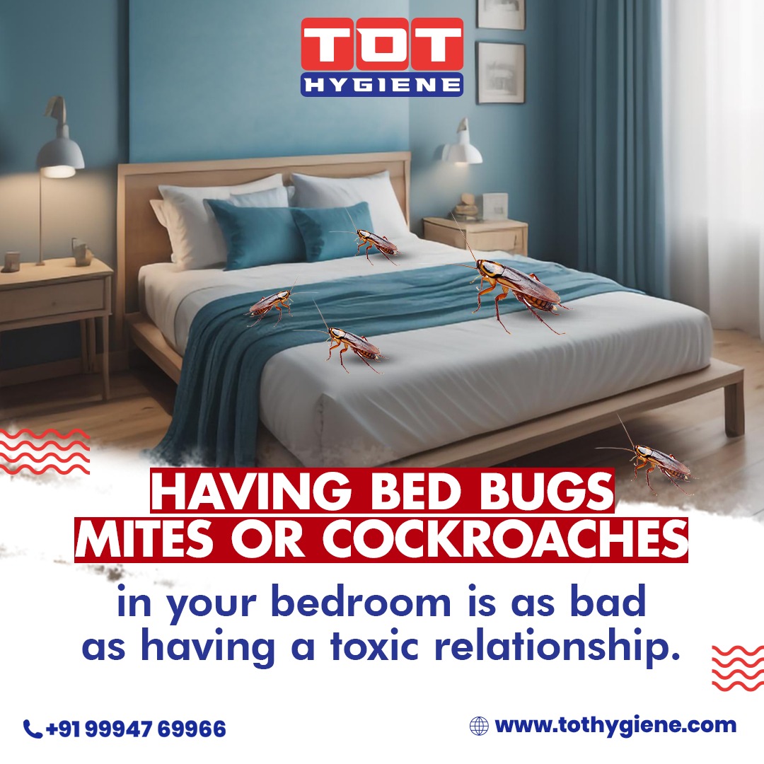 Elevating Hygiene Standards: TOT Hygiene's Comprehensive Housekeeping Services 